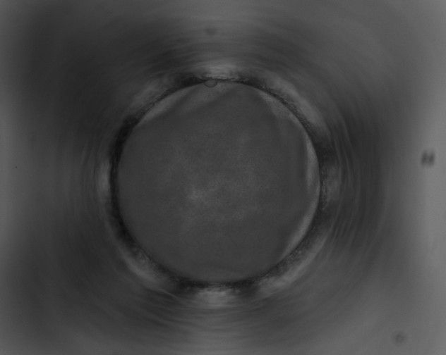 X0000102830213200809081203