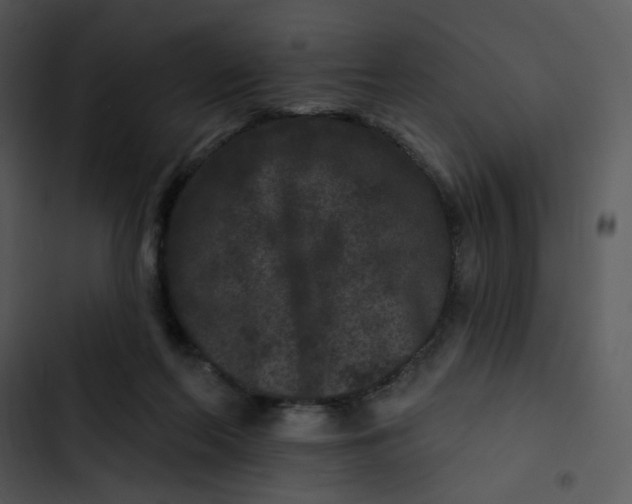 X0000102830214200809081203