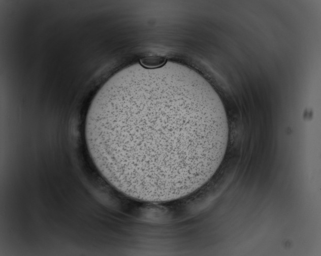 X0000102830215200809081203