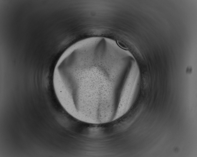 X0000102830216200809081203