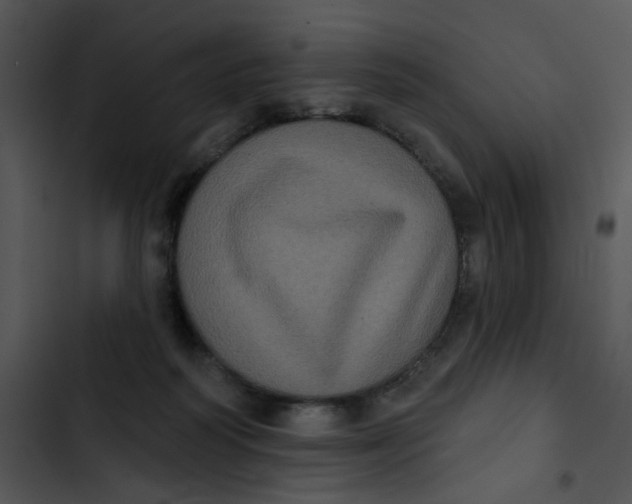 X0000102830218200809081203