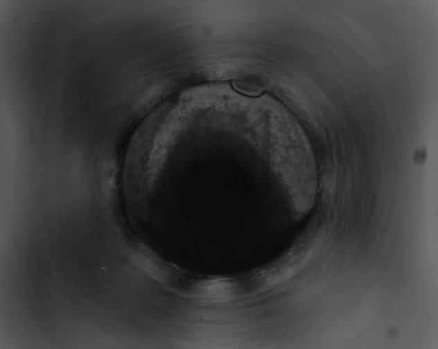 X0000102830219200809081203