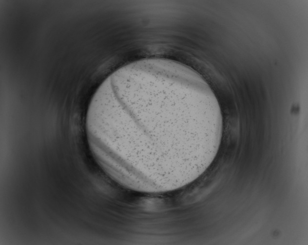 X0000102830220200809081203