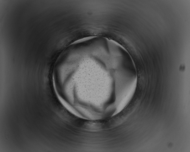 X0000102830221200809081203