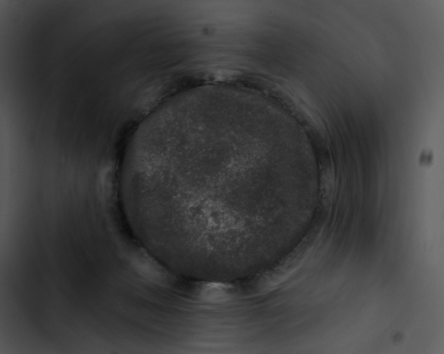 X0000102830222200809081203