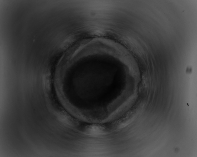 X0000102830223200809081203