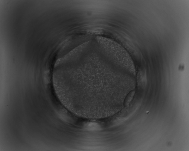 X0000102830224200809081203