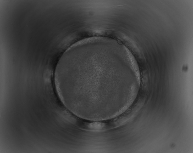 X0000102830225200809081203