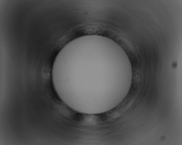 X0000102830226200809081203