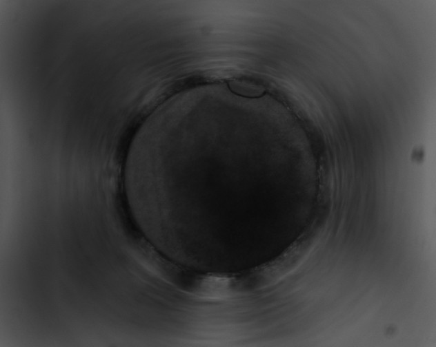 X0000102830227200809081203