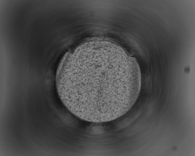 X0000102830228200809081203