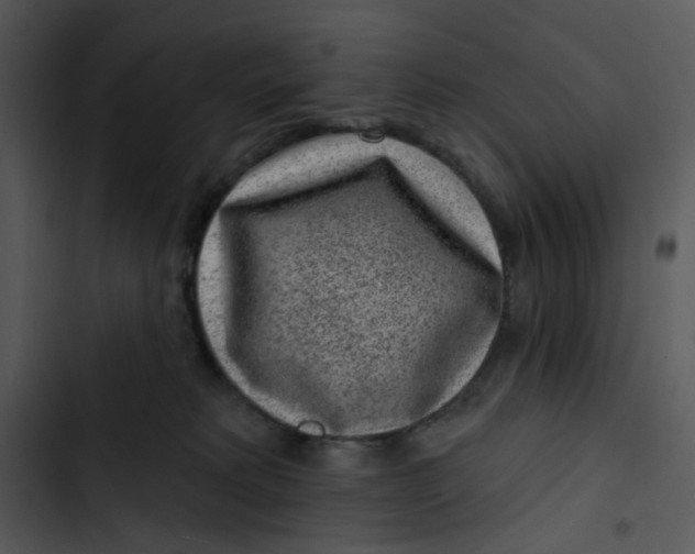 X0000102830229200809081203