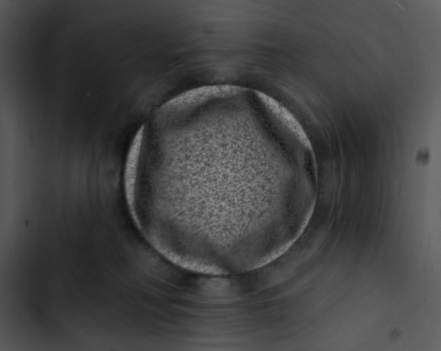 X0000102830230200809081203