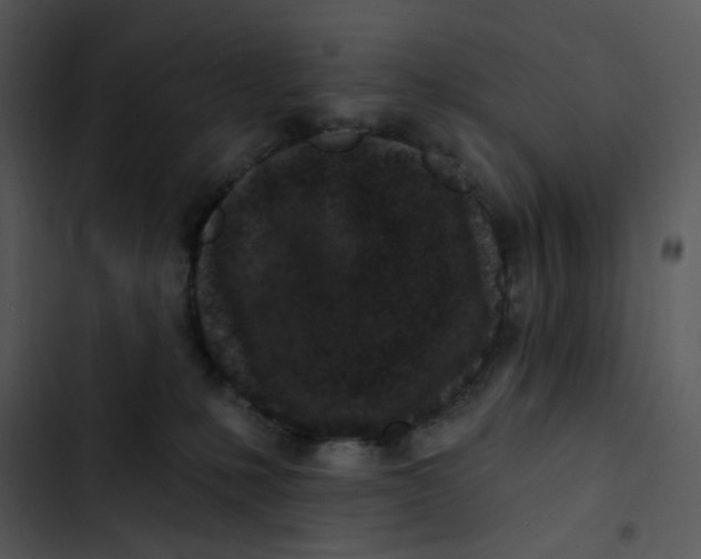 X0000102830231200809081203