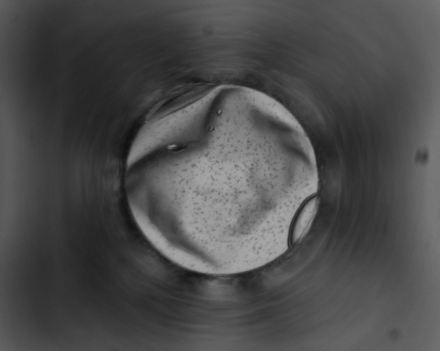 X0000102830232200809081203