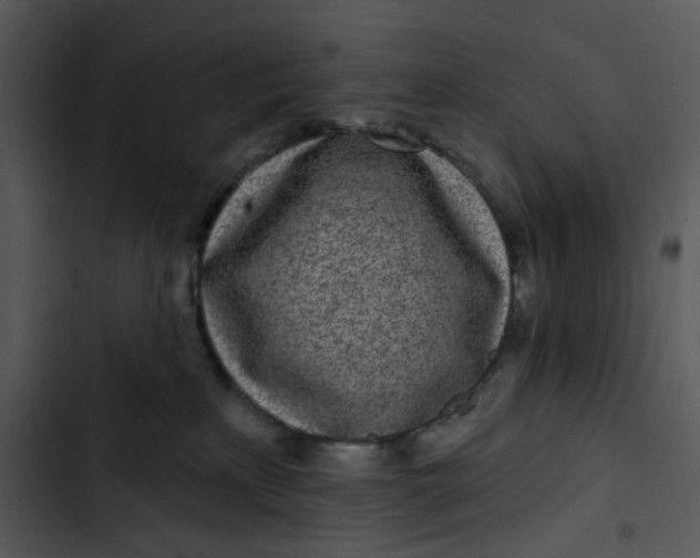 X0000102830233200809081203