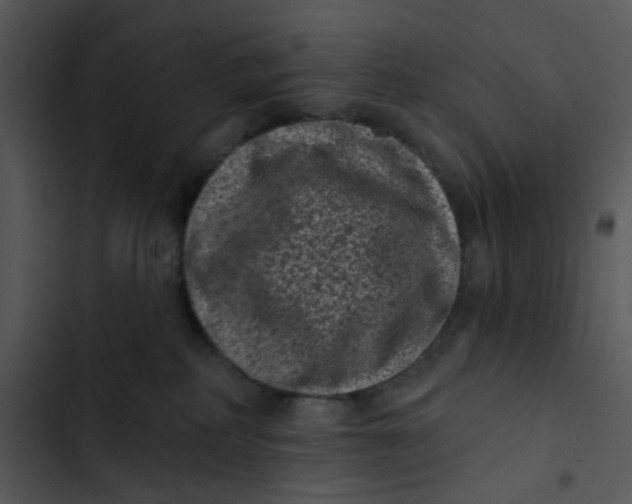 X0000102830234200809081203