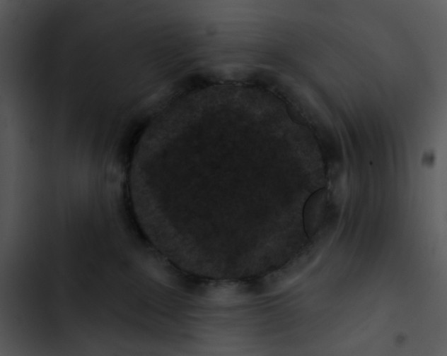 X0000102830235200809081203