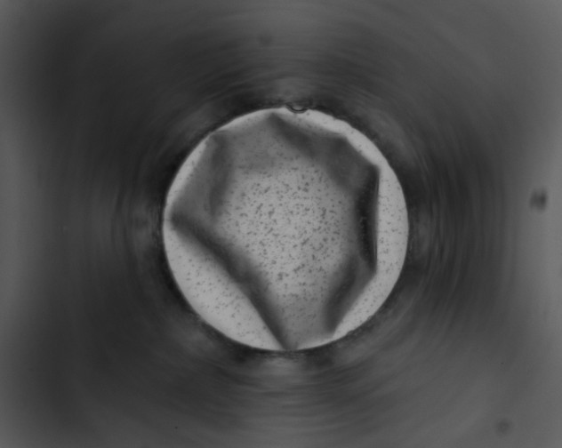 X0000102830236200809081203