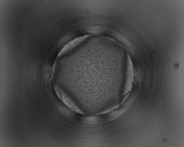 X0000102830237200809081203