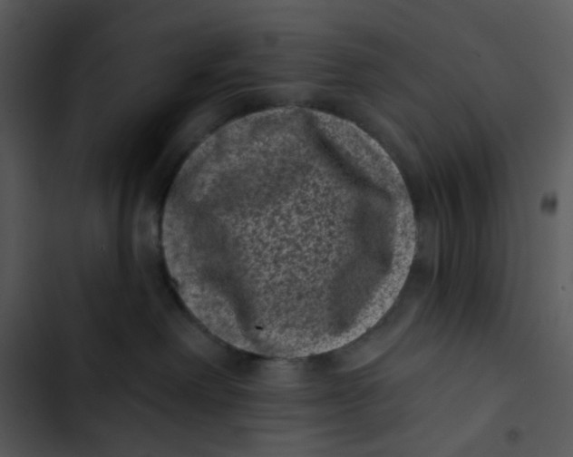 X0000102830238200809081203