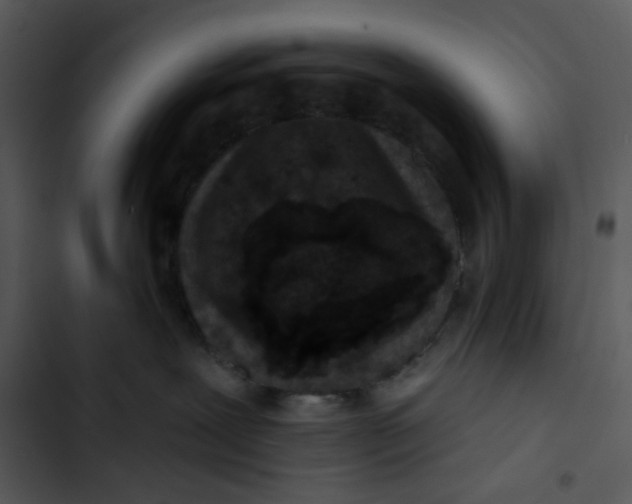 X0000102830239200809081203