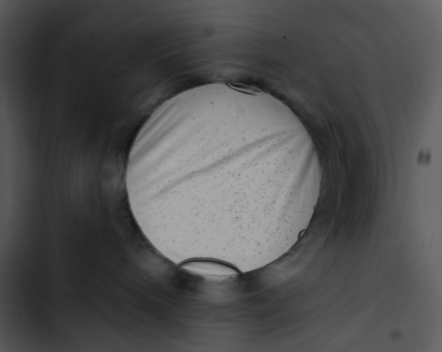 X0000102830240200809081203