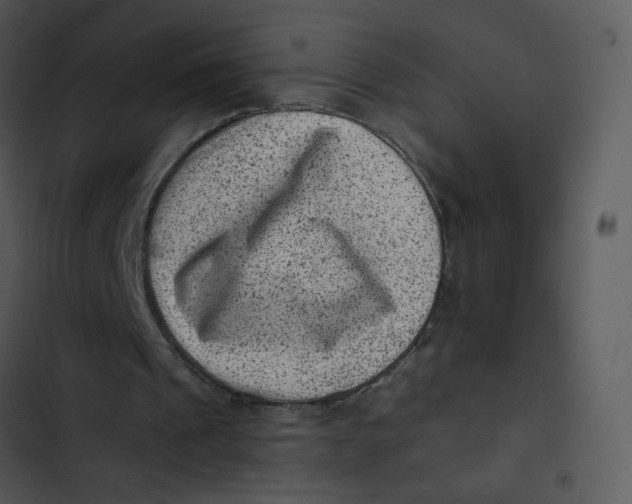 X0000102830241200809081202