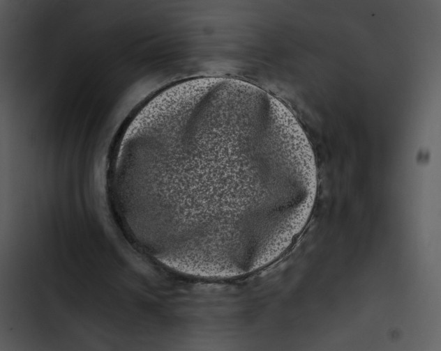 X0000102830242200809081202