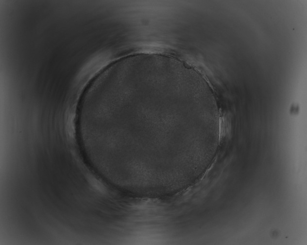 X0000102830243200809081202
