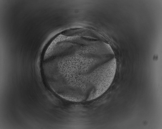 X0000102830244200809081202