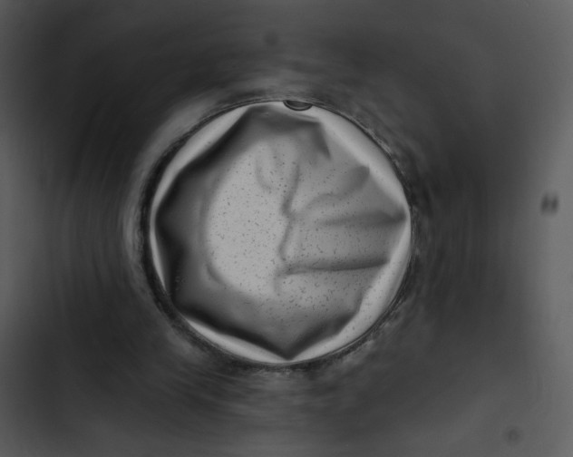 X0000102830245200809081202