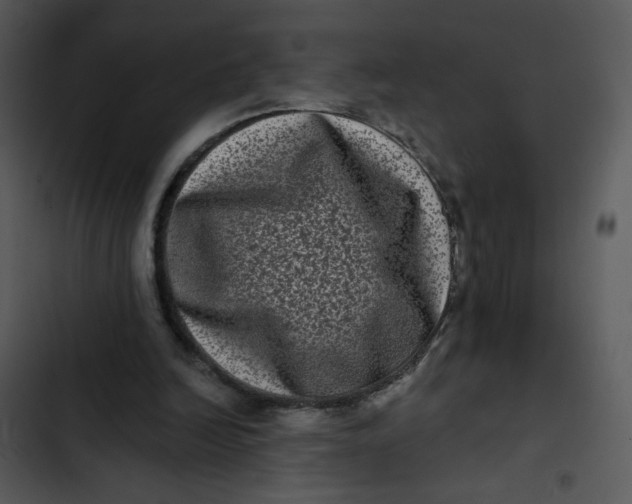 X0000102830246200809081202