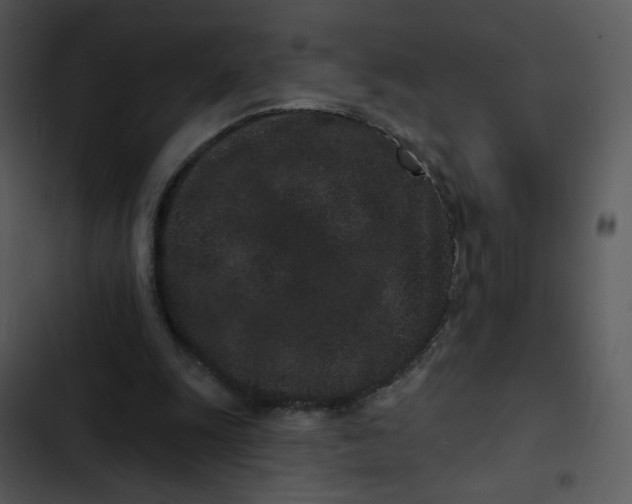 X0000102830247200809081202