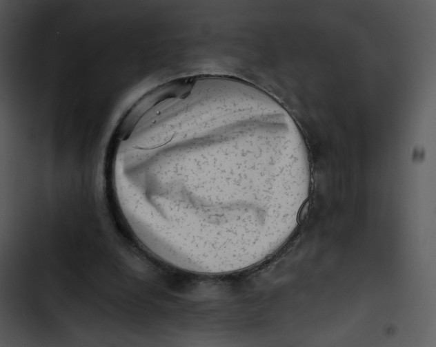 X0000102830248200809081202
