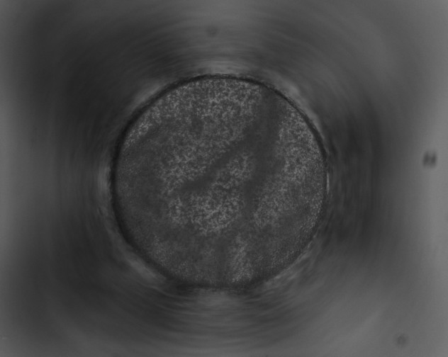 X0000102830249200809081202