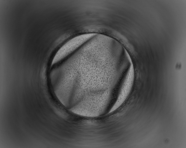 X0000102830250200809081202