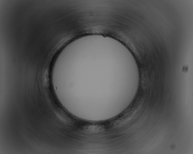 X0000102830251200809081202