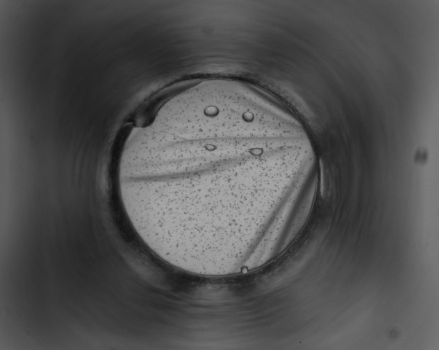 X0000102830252200809081202