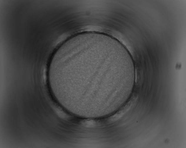 X0000102830253200809081202