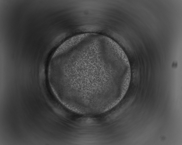 X0000102830254200809081202