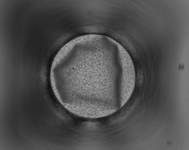 X0000102830255200809081202
