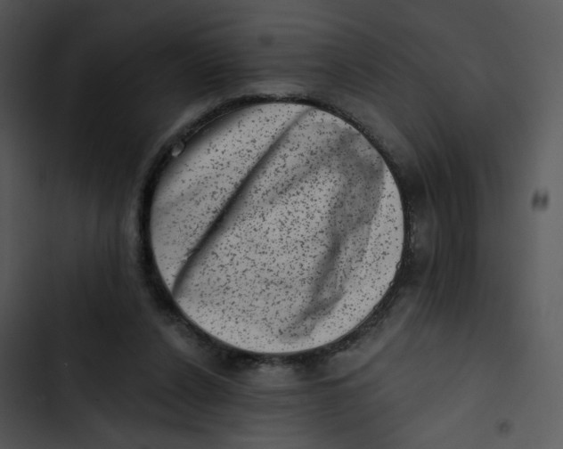 X0000102830256200809081202