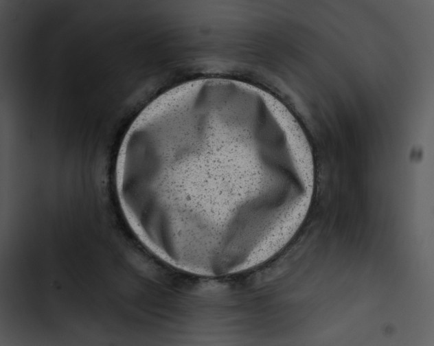 X0000102830257200809081202