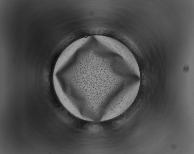 X0000102830258200809081202
