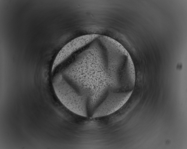 X0000102830259200809081202