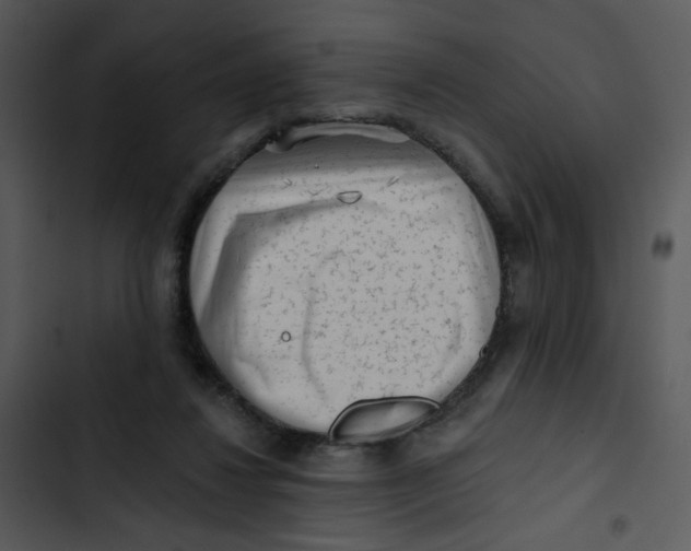 X0000102830260200809081202