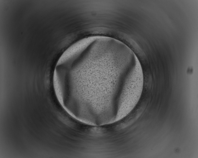 X0000102830261200809081202