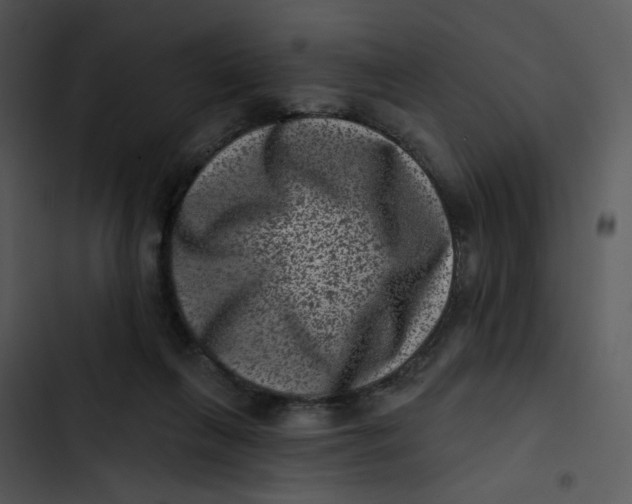 X0000102830263200809081203