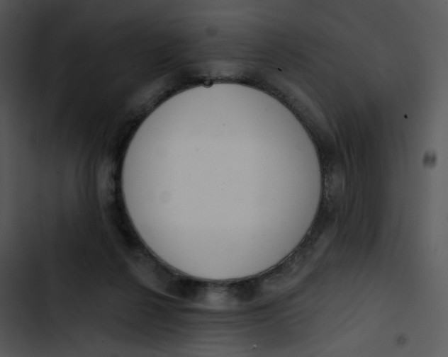 X0000102830264200809081203